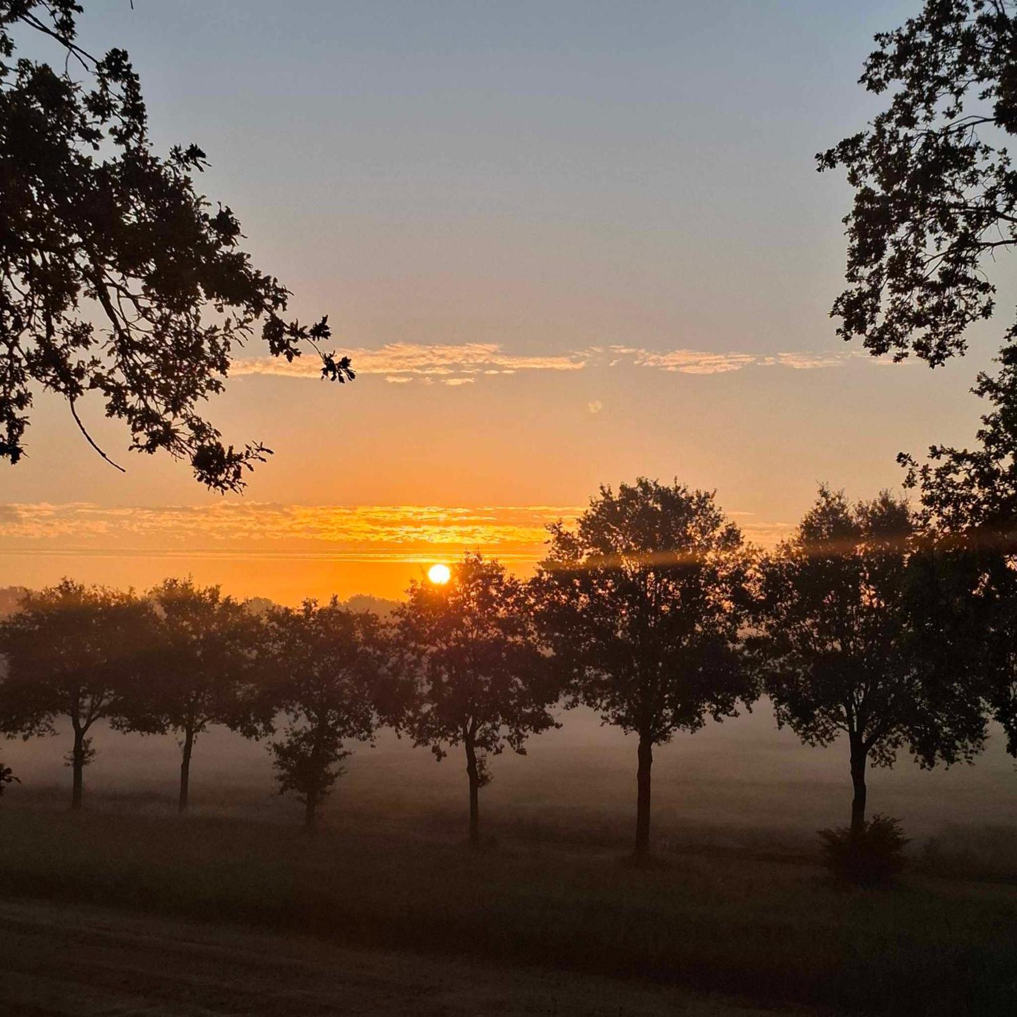 Hotel Het Witte Veen Witteveen Luaran gambar