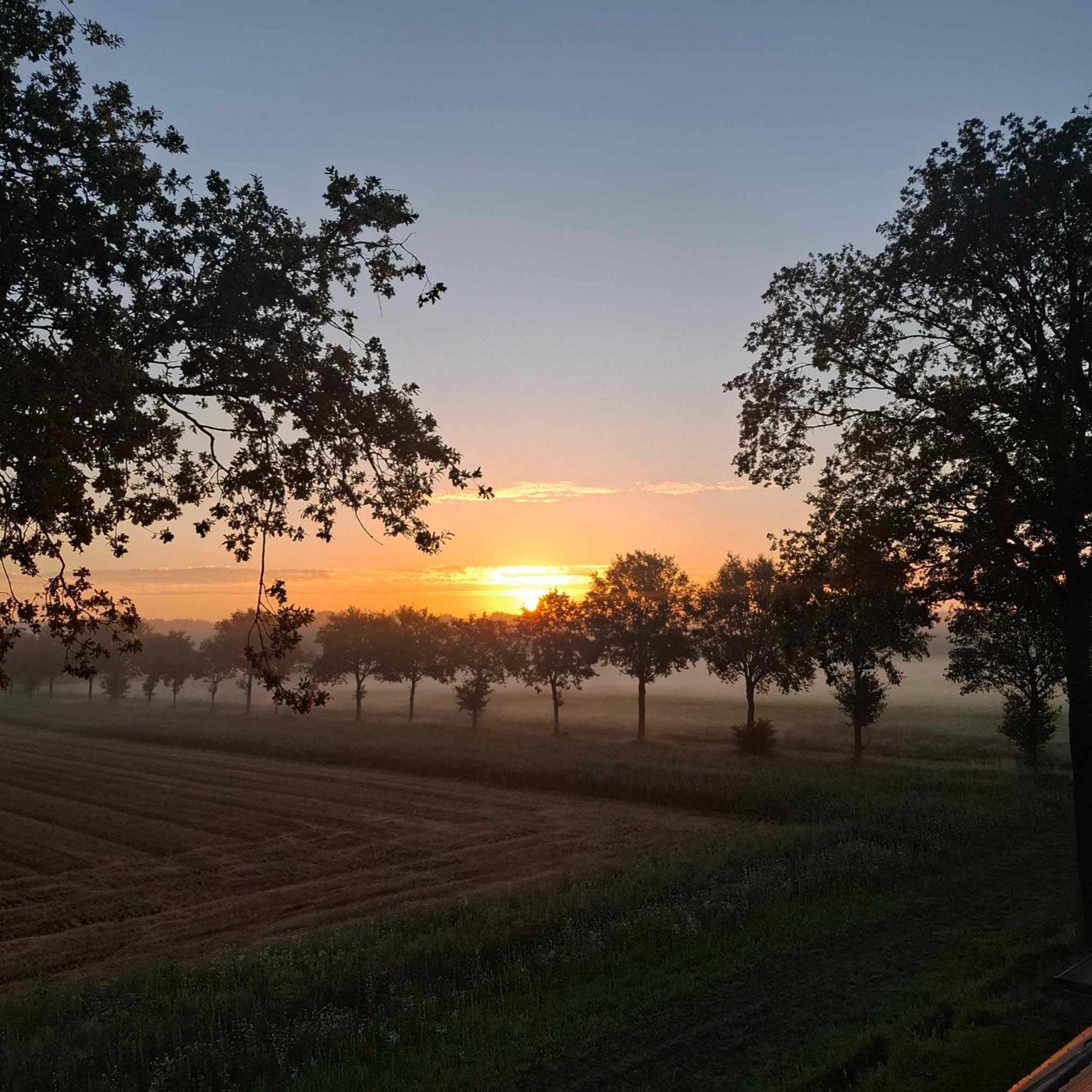 Hotel Het Witte Veen Witteveen Luaran gambar